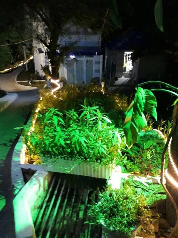 Nostress Guest House Mui Ne Zewnętrze zdjęcie